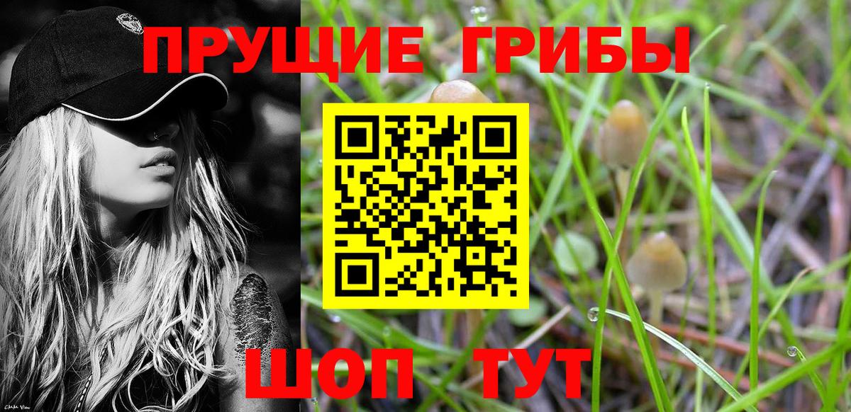 Псилоцибиновые грибы Psilocybe  Псилоцибиновые грибы мицелий  Арзамас  Вход с VPN 